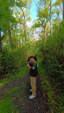 Thompson Woods Preserve — Picture1