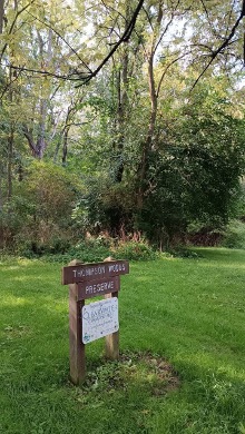 Thompson Woods Preserve — Picture2
